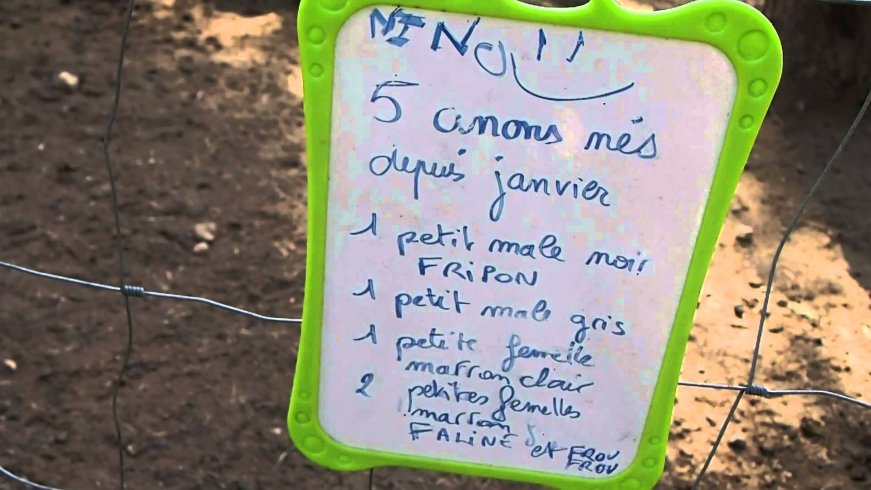 Domaine AbracadaRoom : Les Cab'ânes du Varon - Image 9