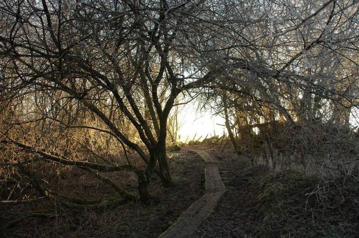 Domaine AbracadaRoom : Domaine de la Pierre Ronde - Image 5