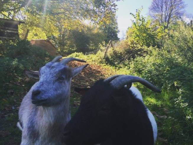 Domaine AbracadaRoom : Yourtes de Barousse - Image 6