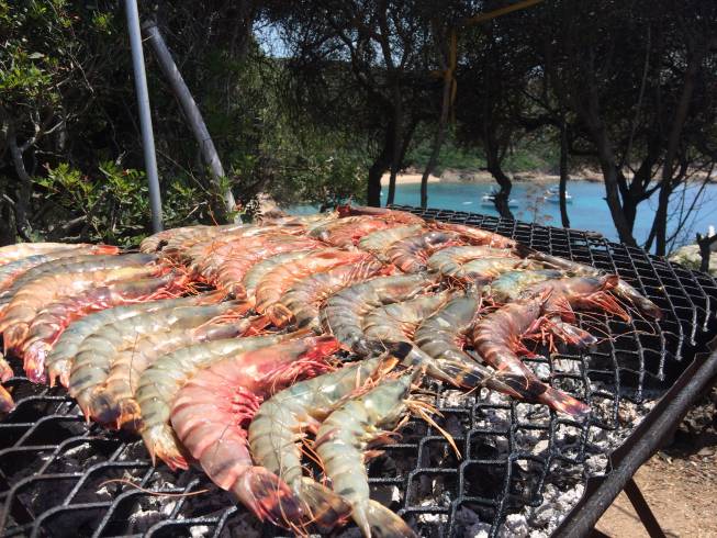 Domaine AbracadaRoom : Tentes Ecolodge de Cala - Image 5