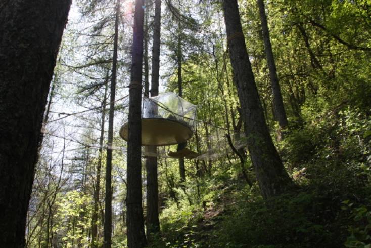 Domaine AbracadaRoom : Crazy Bulle - Image 1