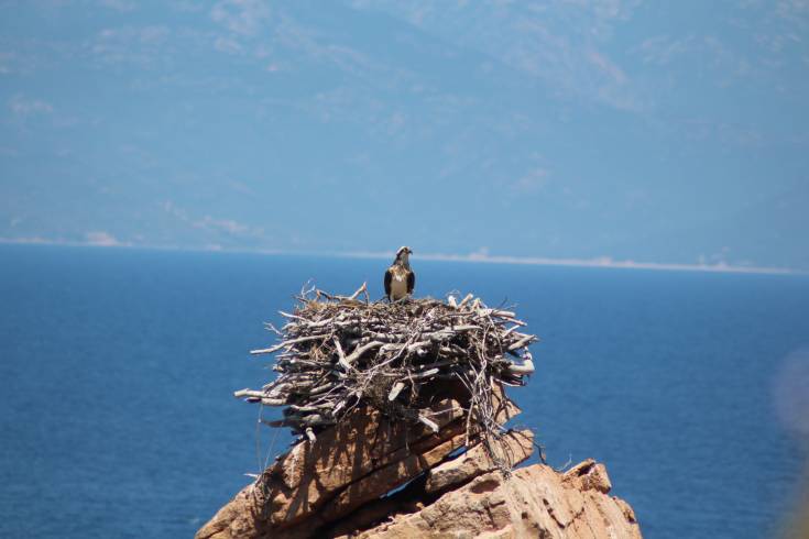 Domaine AbracadaRoom : Tentes Ecolodge de Cala - Image 4