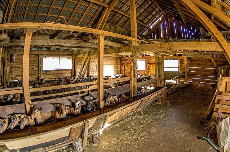 Domaine AbracadaRoom : Alpes Bivouac - Semnoz - Image 4