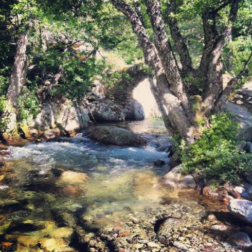 Domaine AbracadaRoom : Les Chalets de Lozzi - Image 7