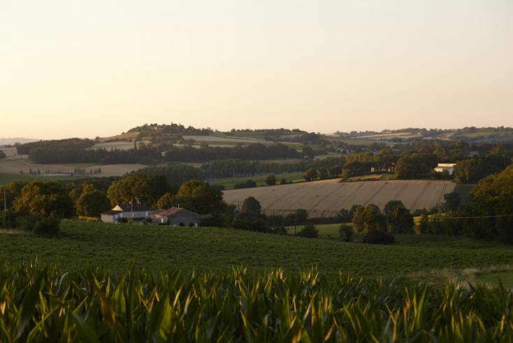 Domaine AbracadaRoom : Cabanes de Gascogne - Image 5