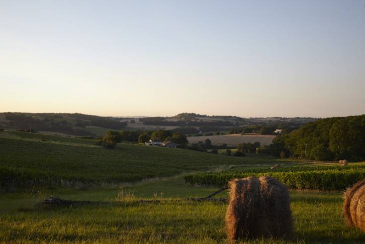Domaine AbracadaRoom : Cabanes de Gascogne - Image 1