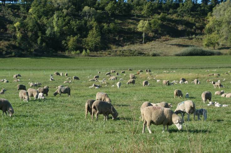 Domaine AbracadaRoom : Les Maisons de Chante Oiseau - Image 1