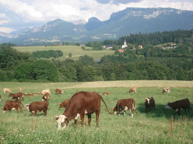 Domaine AbracadaRoom : L'Orée des Bornes - Image 5