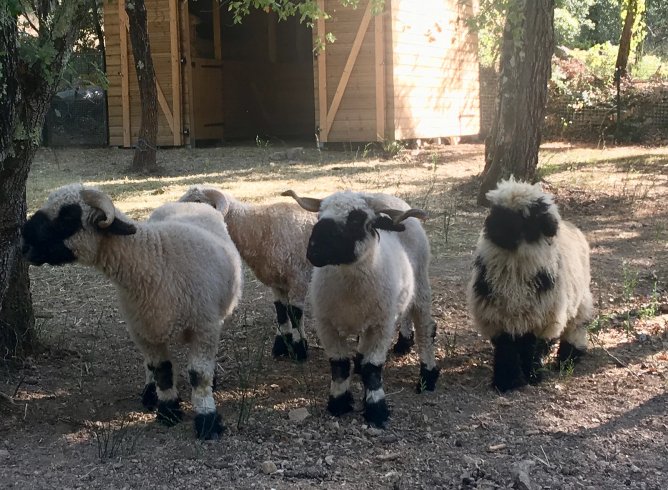 Domaine AbracadaRoom : Les Cab'ânes du Varon - Image 12