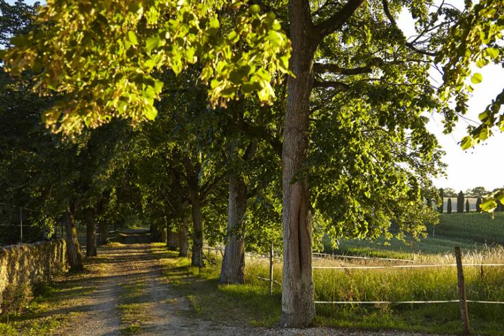 Domaine AbracadaRoom : Cabanes de Gascogne - Image 2