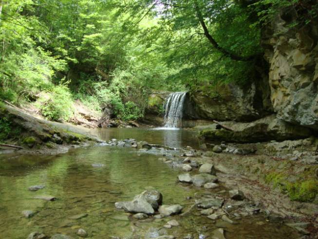 Domaine AbracadaRoom : L'Orée des Bornes - Image 4