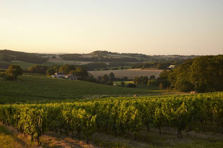 Domaine AbracadaRoom : Cabanes de Gascogne - Image 4