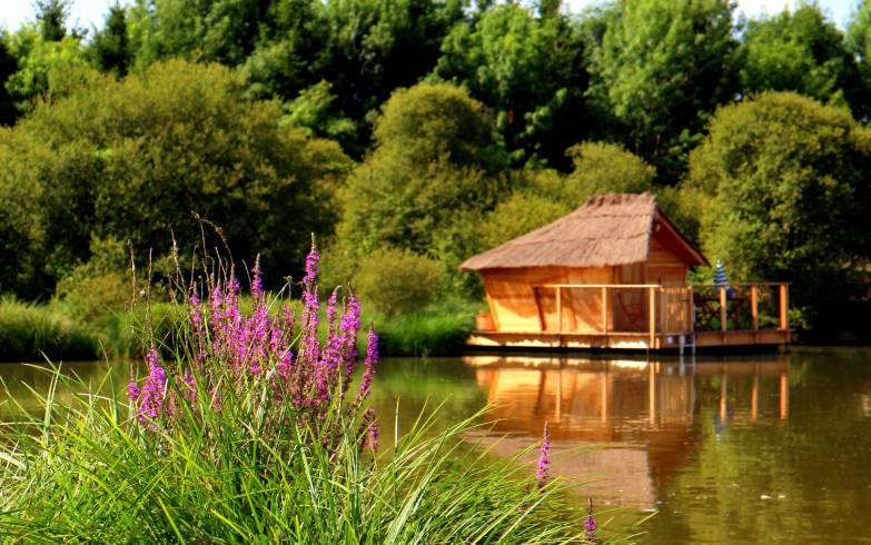 Hébergement AbracadaRoom : Iles des Pins - Image 2