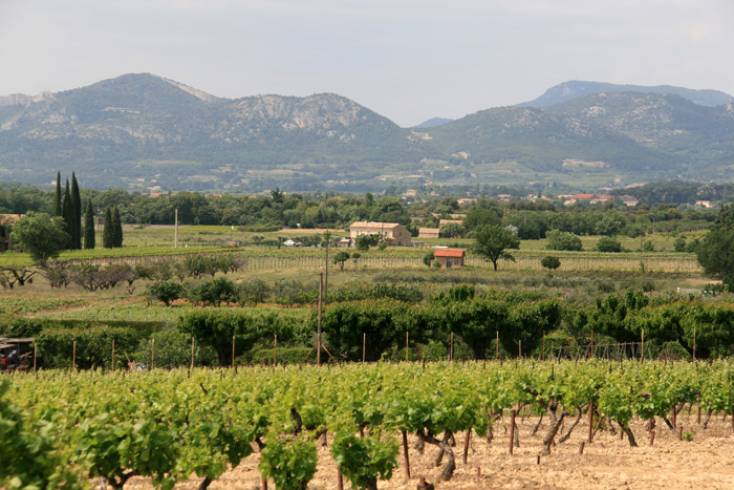 Hébergement AbracadaRoom : Roulotte de Campaulise - Image 6