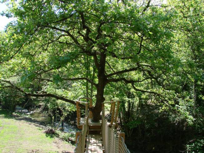 Hébergement AbracadaRoom : Lou pitchoun - Image 2