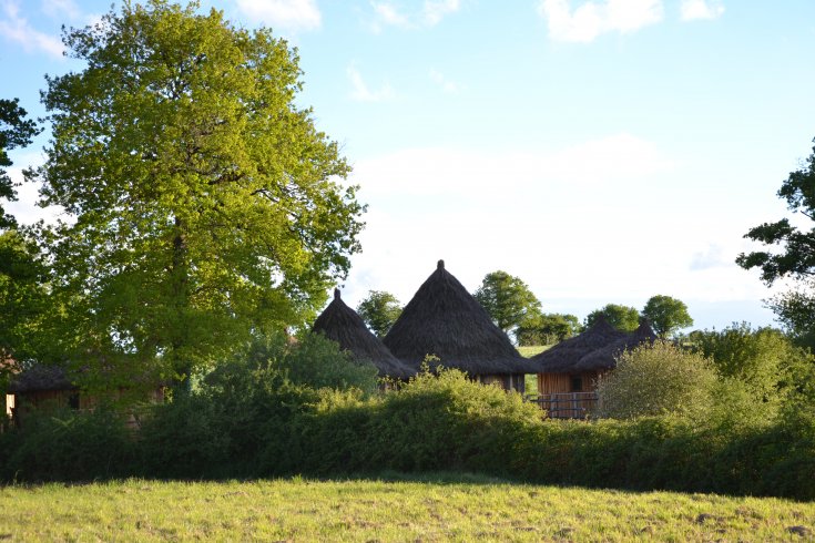 Hébergement AbracadaRoom : Lulu - Image 2