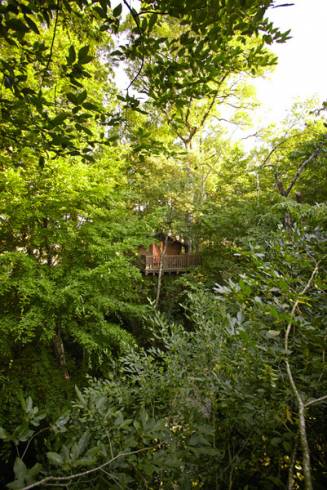 Hébergement AbracadaRoom : Cabane des Hirondelles - Image 13