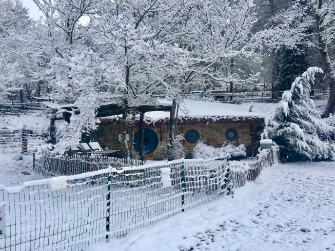 Hébergement AbracadaRoom : Tanière de Bilbo le Hobbit - Image 32