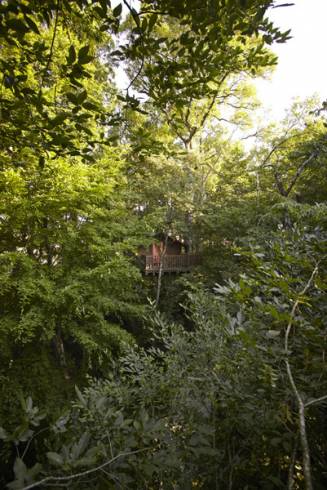 Hébergement AbracadaRoom : Cabane des Hirondelles - Image 8