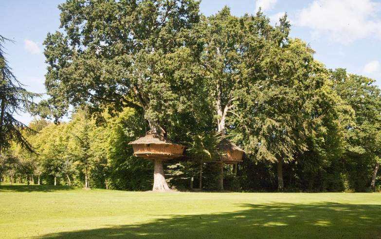 Hébergement AbracadaRoom : Tapis vert - Image 2