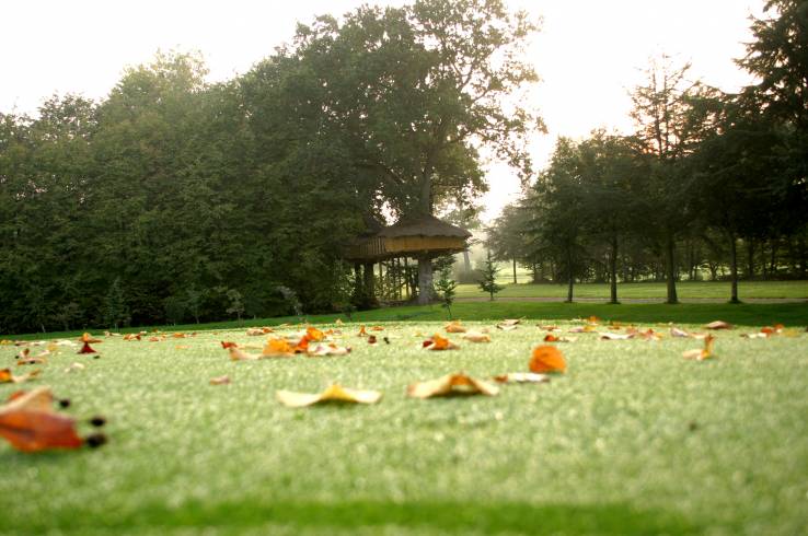 Hébergement AbracadaRoom : Tapis vert - Image 3