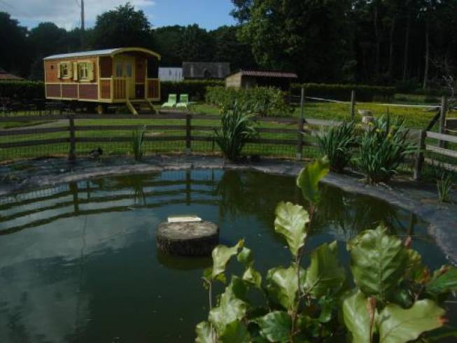 Hébergement AbracadaRoom : Roulotte de Manon - Image 2