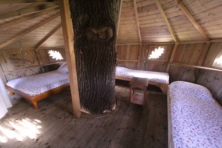 Hébergement AbracadaRoom : Tapis vert - Image 6