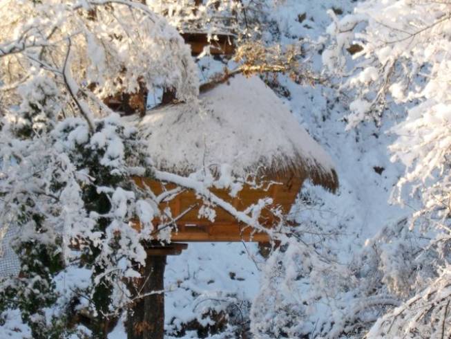 Hébergement AbracadaRoom : Lou pitchoun - Image 4