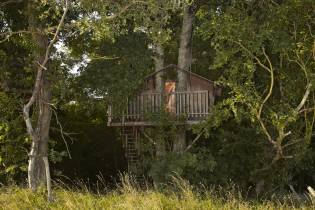 Cabane de la Mésange