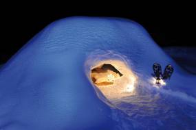 Igloo Haute-Savoie